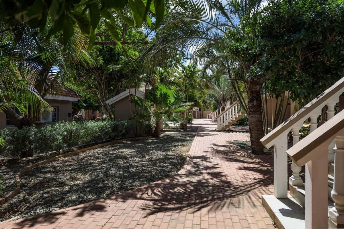 Beautiful 1 Bedroom Apartment In Tanki Leendert — photo 9