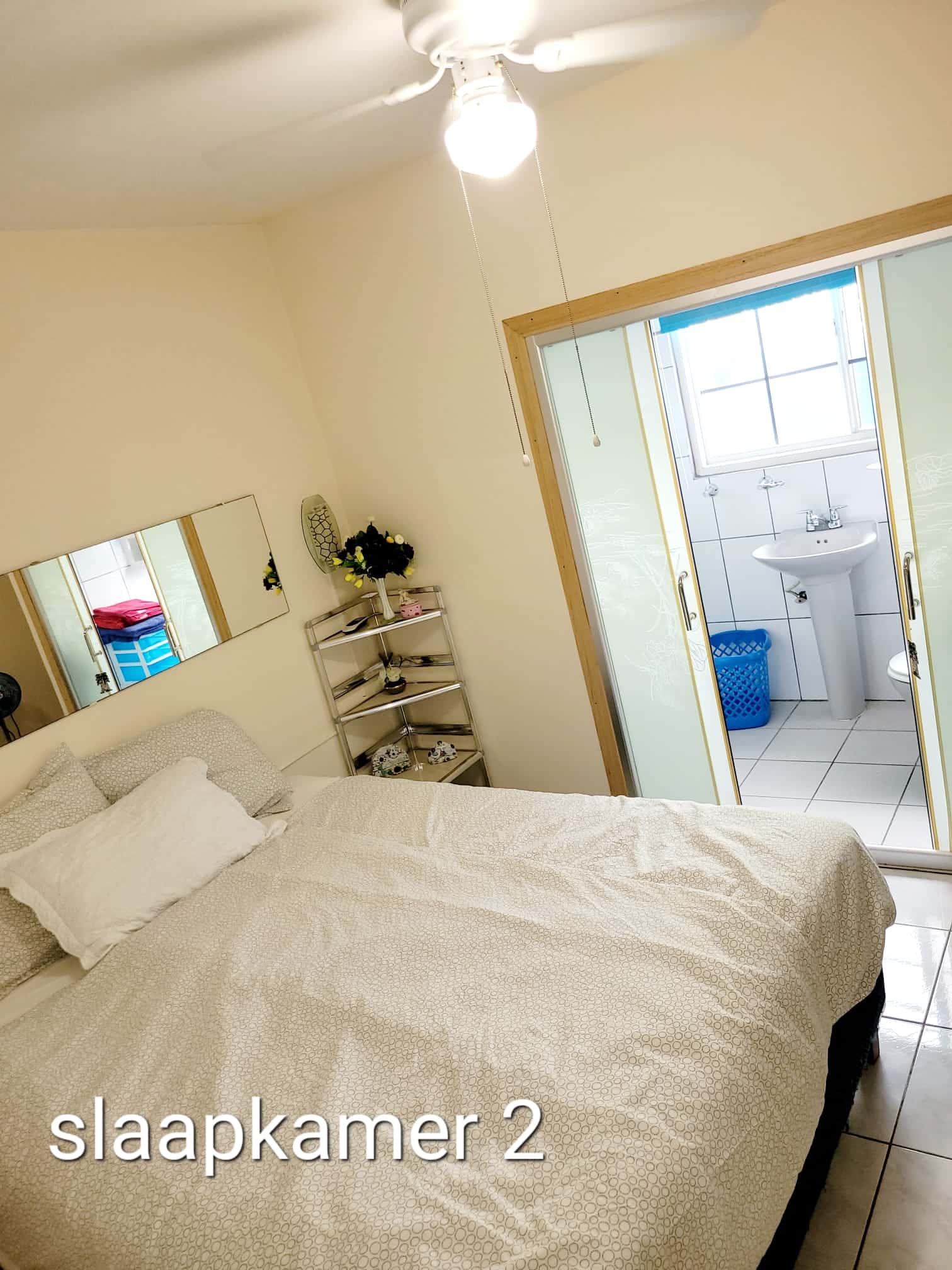 3-Bedroom Home with Pool + back apartment in Bloemond — photo 2