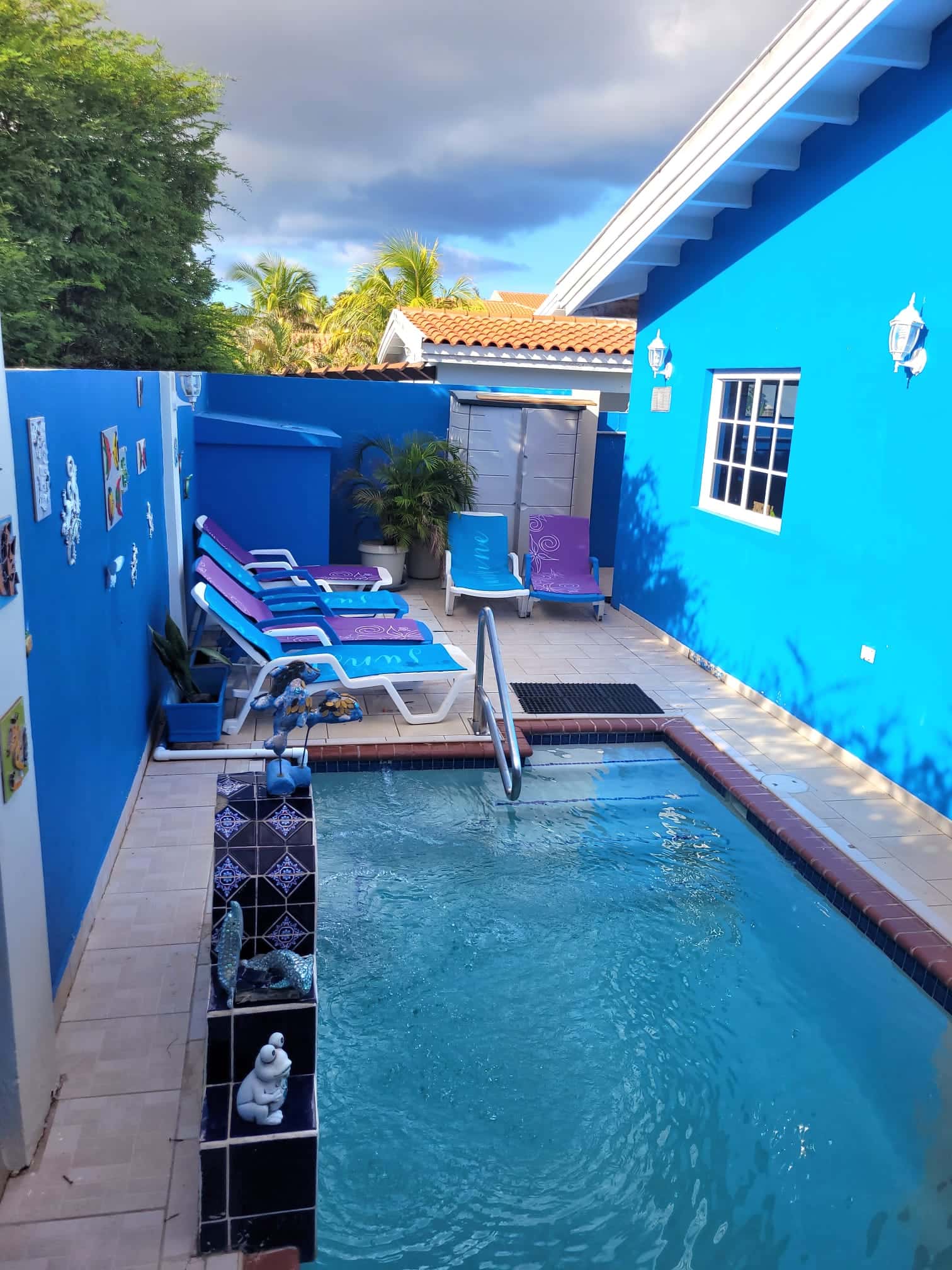 3-Bedroom Home with Pool + back apartment in Bloemond — photo 1