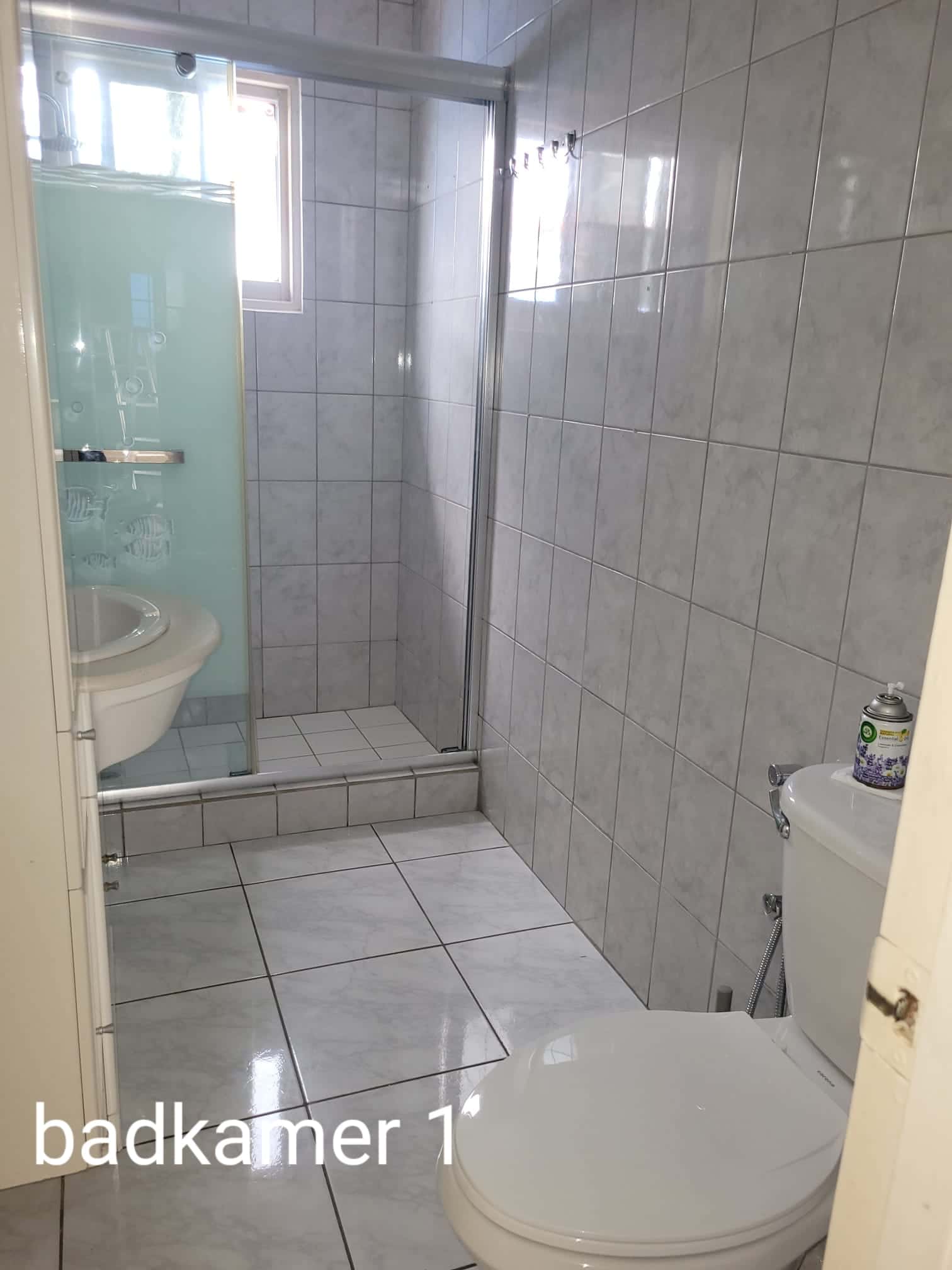 3-Bedroom Home with Pool + back apartment in Bloemond — photo 10