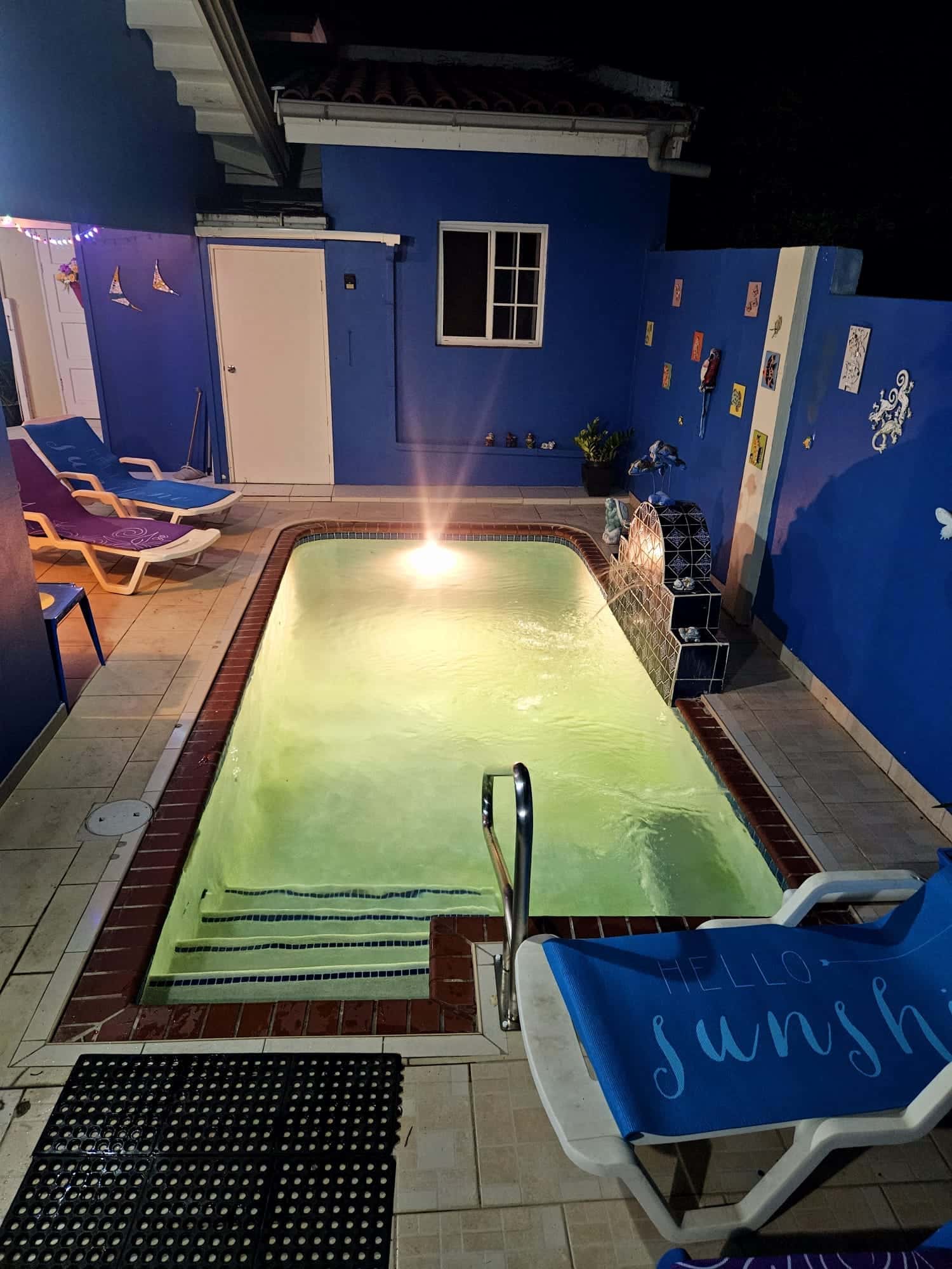 3-Bedroom Home with Pool + back apartment in Bloemond — photo 18