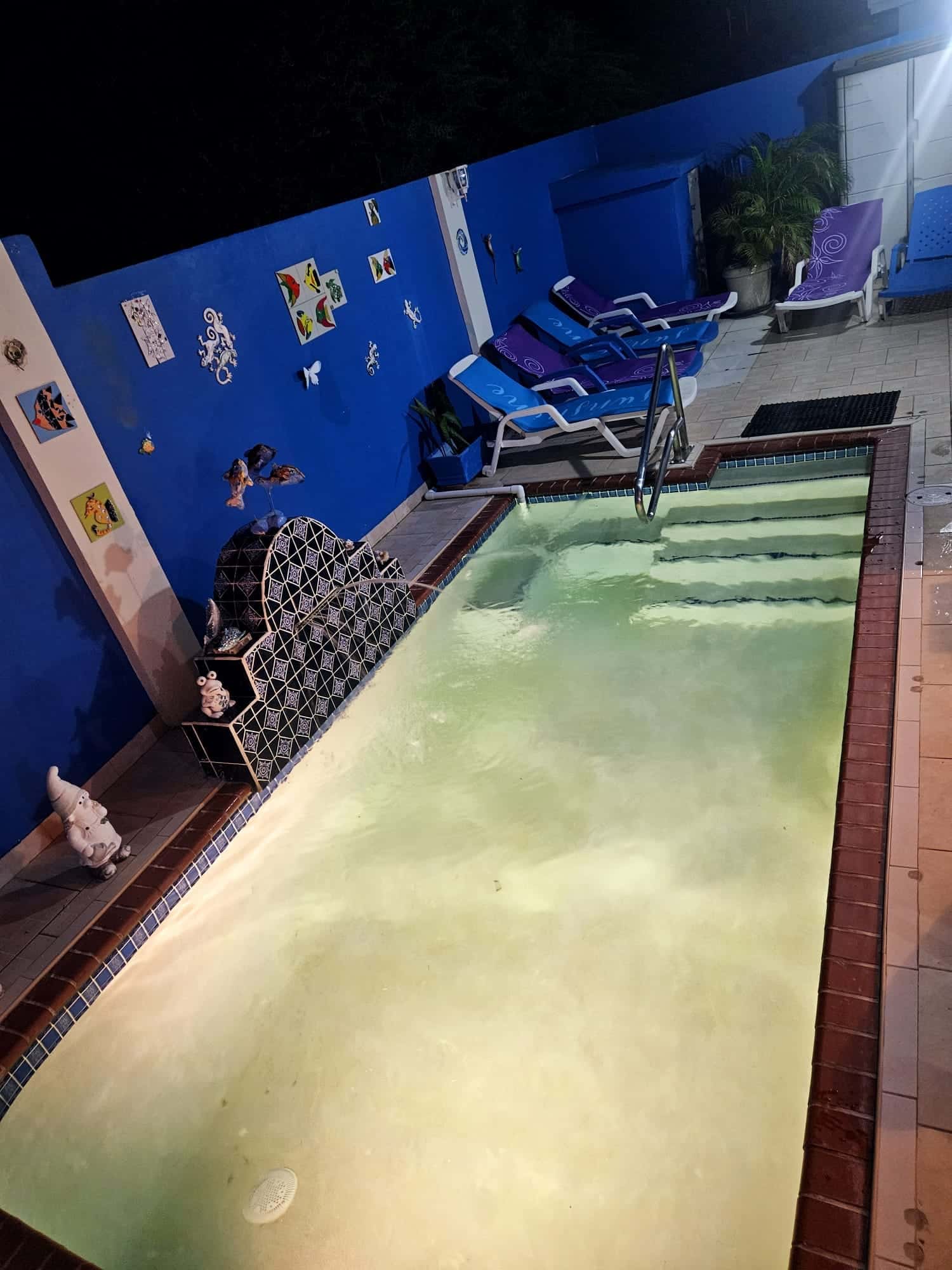3-Bedroom Home with Pool + back apartment in Bloemond — photo 20