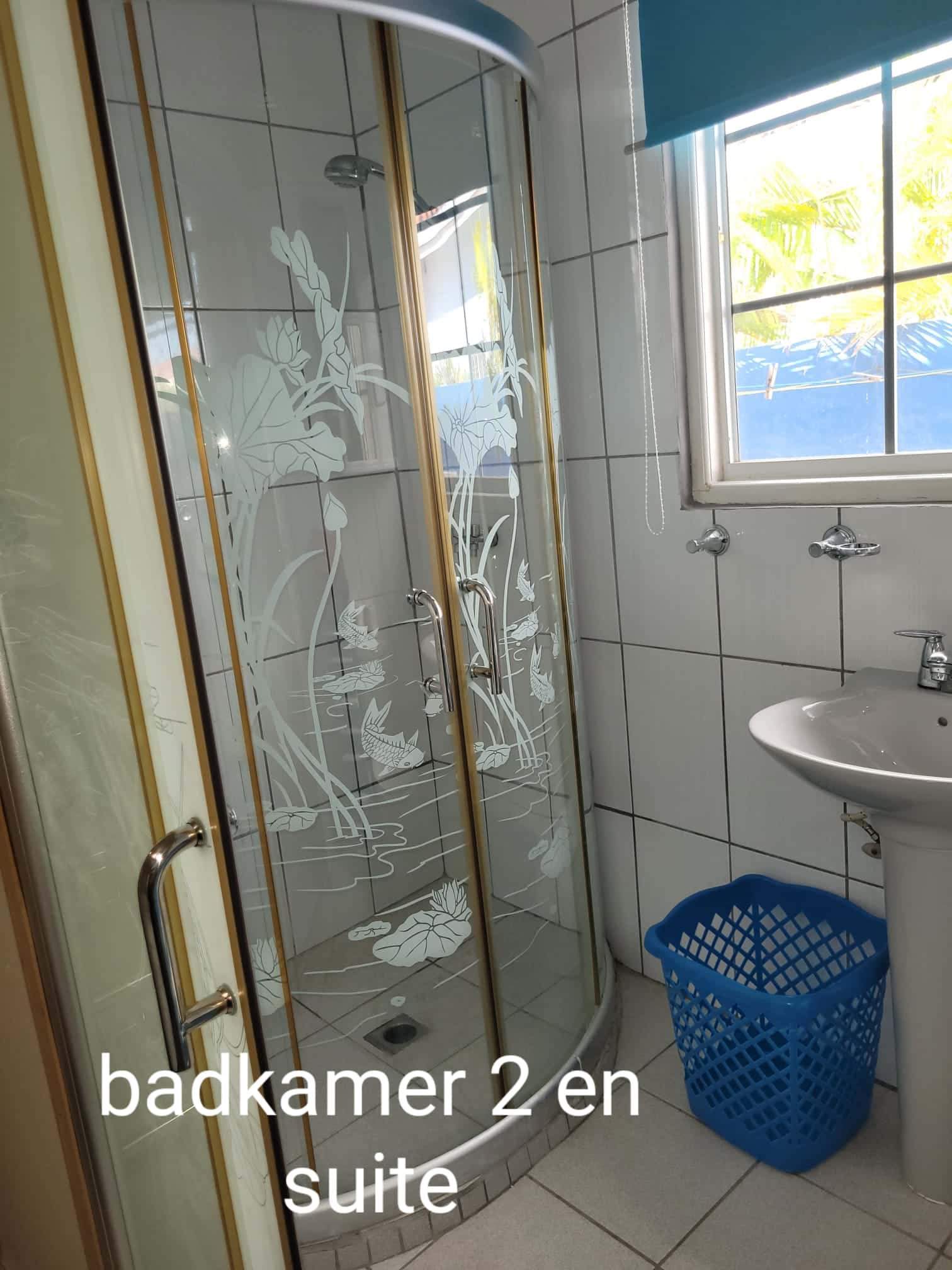 3-Bedroom Home with Pool + back apartment in Bloemond — photo 23