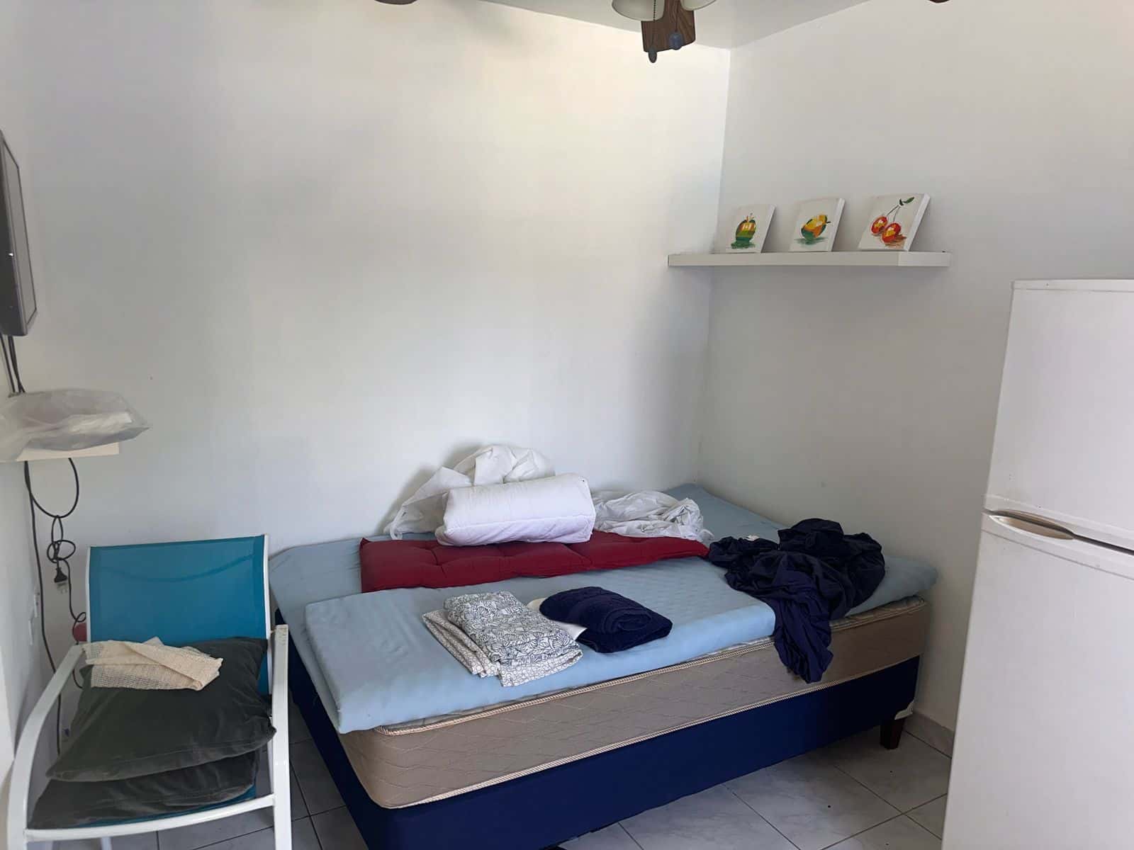 3-Bedroom Home with Pool + back apartment in Bloemond — photo 38