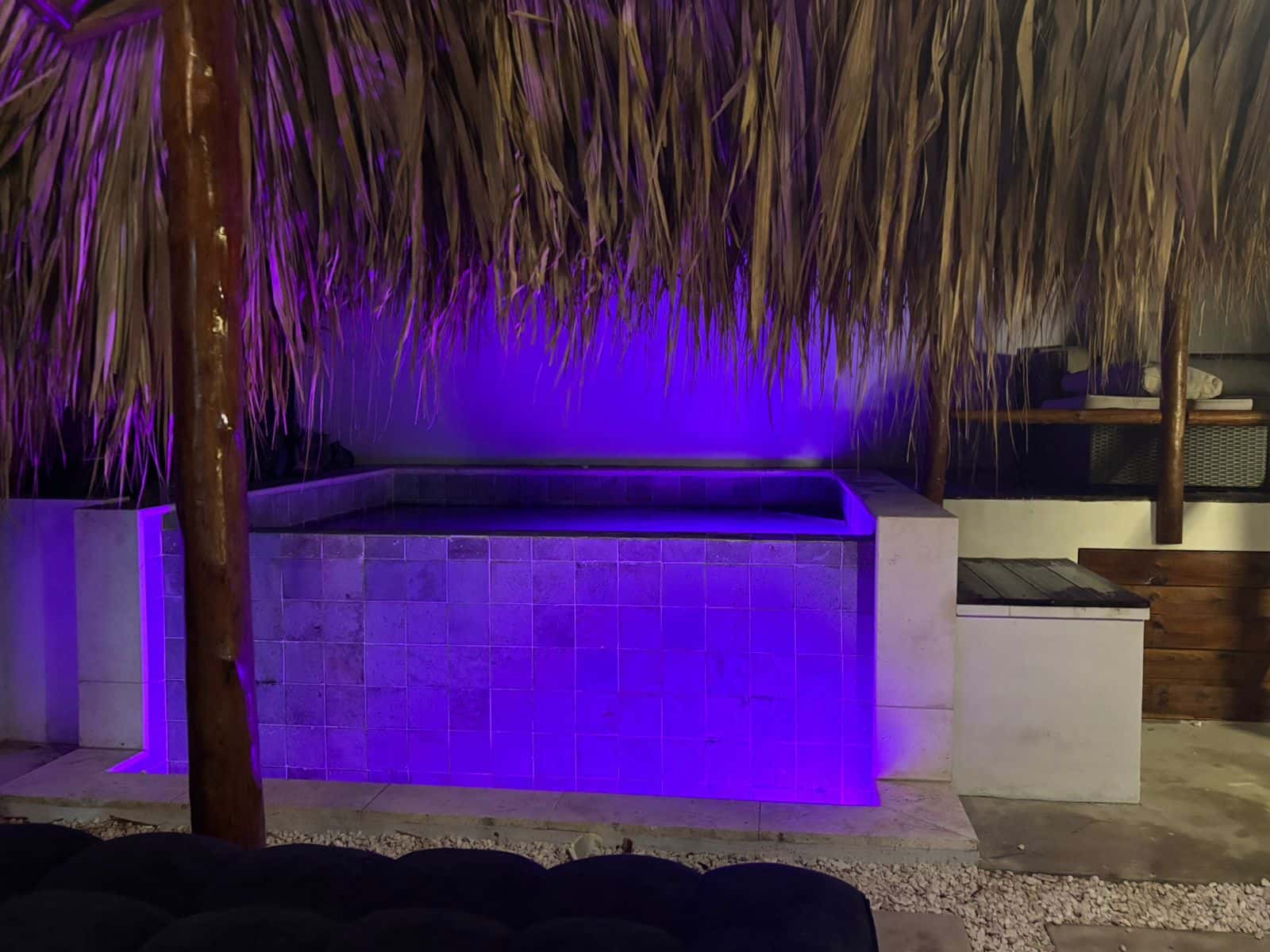 Very spacious One Bedroom house with its own private pool in Palm Beach — photo 3