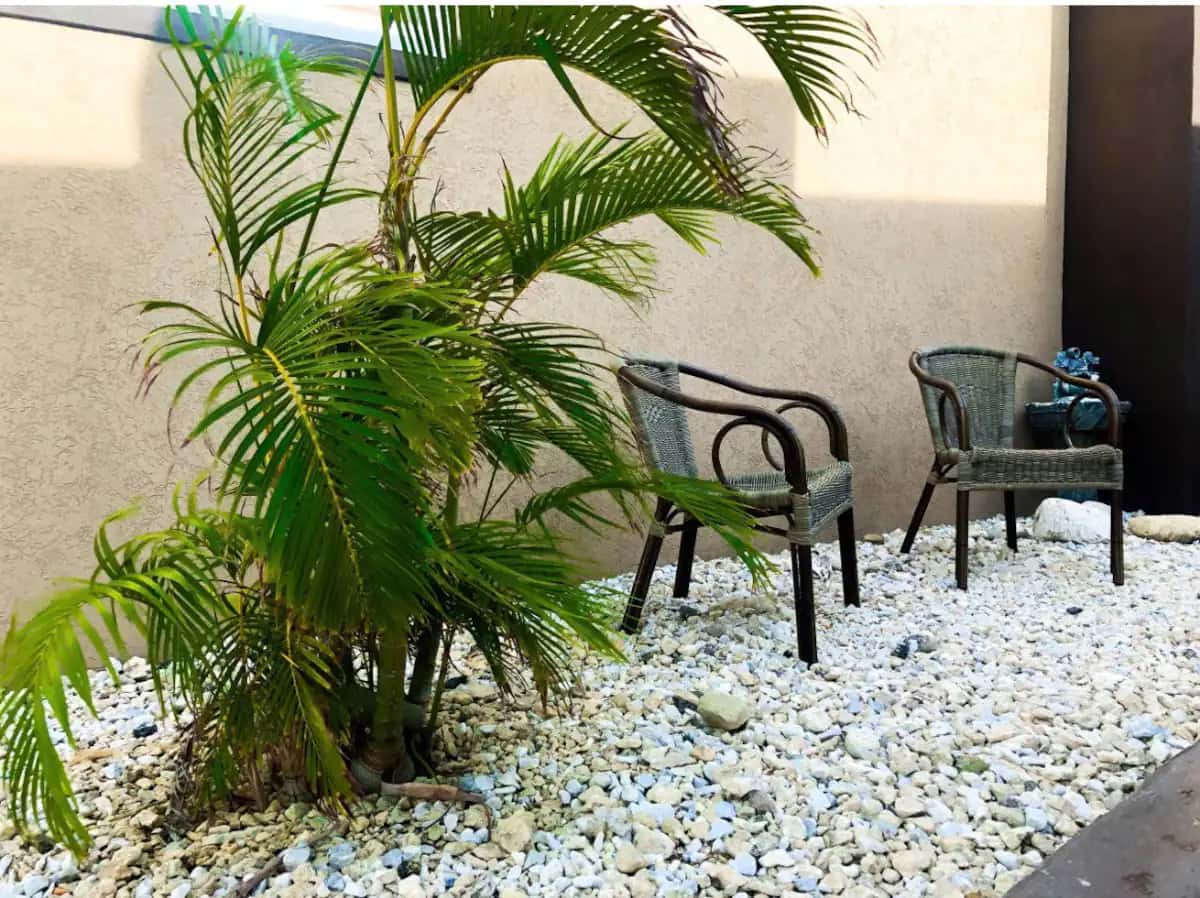 Xanthy 3, 1 bedroom, 4 guests — photo 12