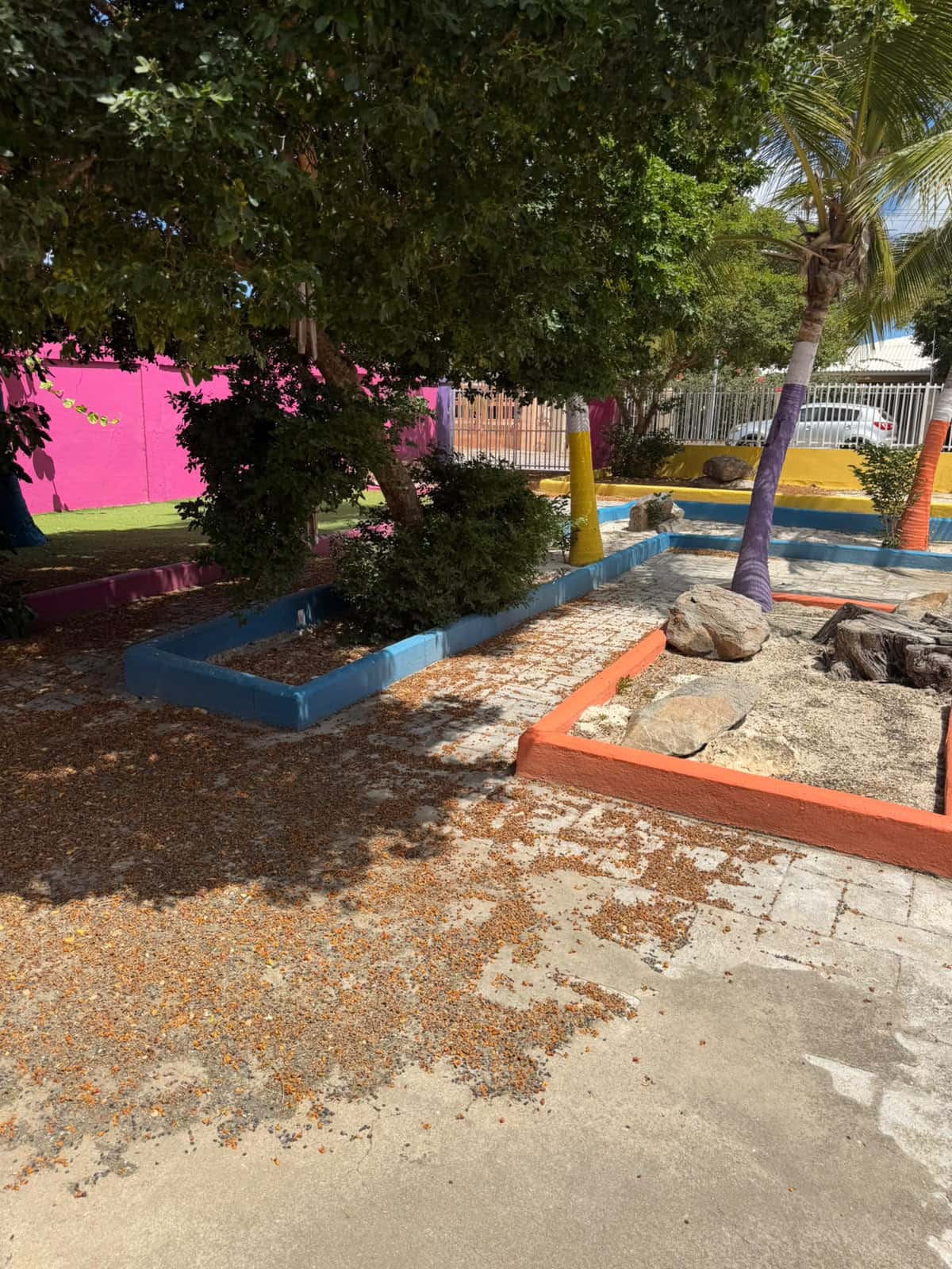 COMMERCIAL OR RESIDENTIAL PROPERTY FOR RENT – MON PLASIER, ARUBA — photo 9