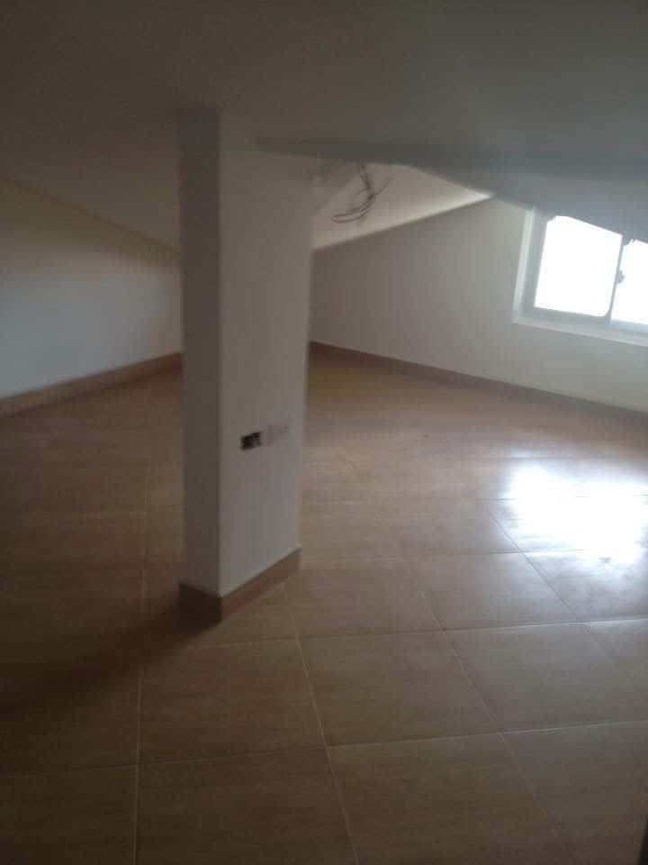 Modern 2-Bedroom, 2-Bathroom Loft Apartment in Kudawecha — photo 5