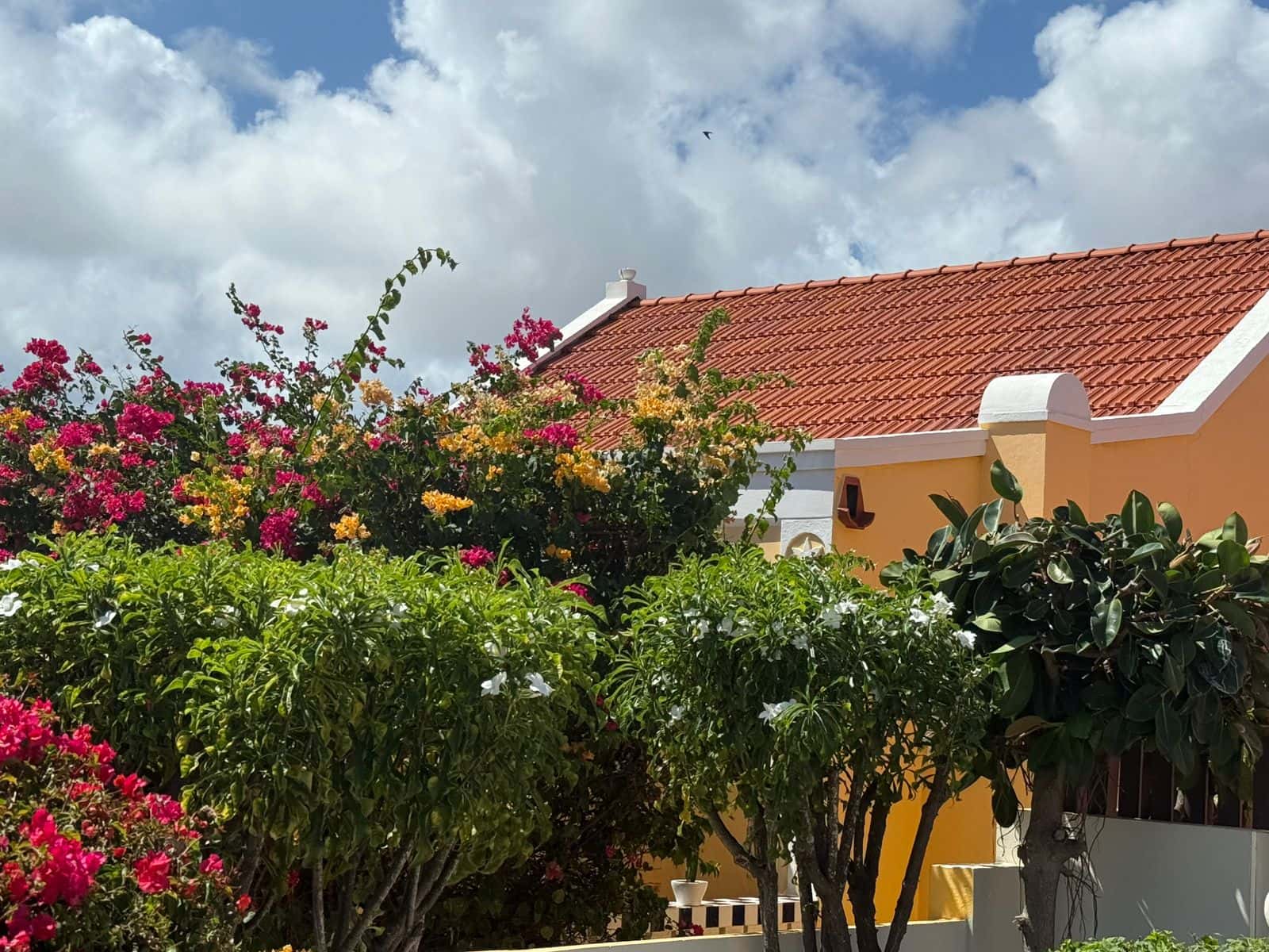 2 bed house Bona vista — photo 13