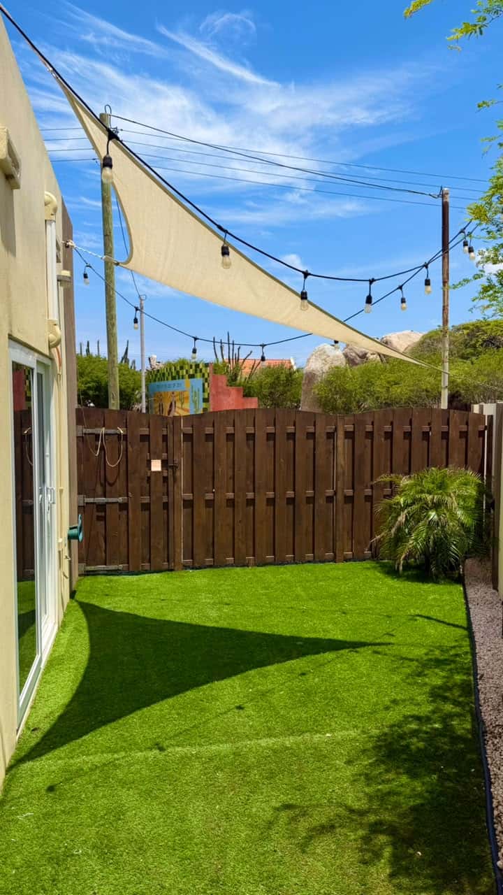 FOR RENT- Papaya — photo 12
